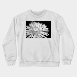 reach Crewneck Sweatshirt